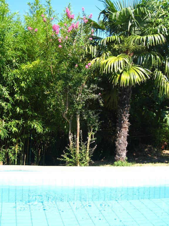 Apartment Apollonio Portorož Pokoj fotografie